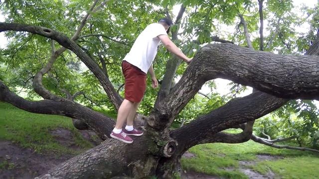 (16+) Веловлог и дуракаваляние смотреть онлайн