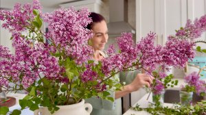 Домашние Хлопоты | Уличная Еда | Фестиваль Джаза | Семейный Влог | Эгине | Heghineh