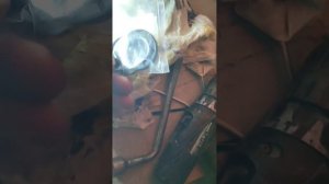 Мотоблок АГАТ замена сальников 😁🚜💿