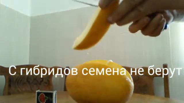 Арбуз дыня помидоры смотреть онлайн