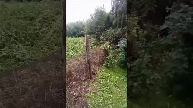 Компания Пенсионер 21 века, заборы из профлиста, сделано Новокузн. р-н с. Куртуково ул. Луговая д.2 смотреть онлайн