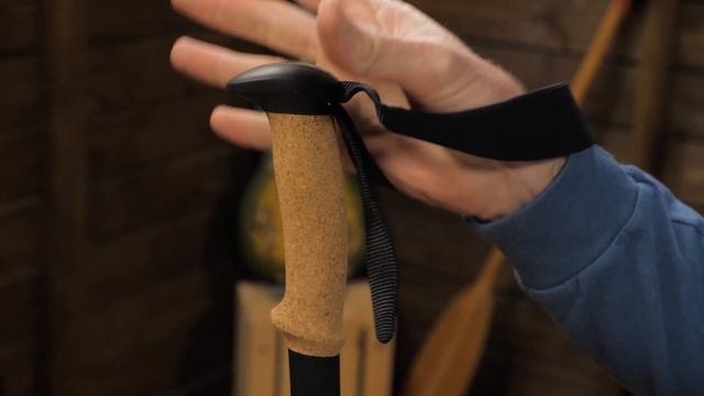 Black Diamond Alpine Carbon Cork Trekking Poles