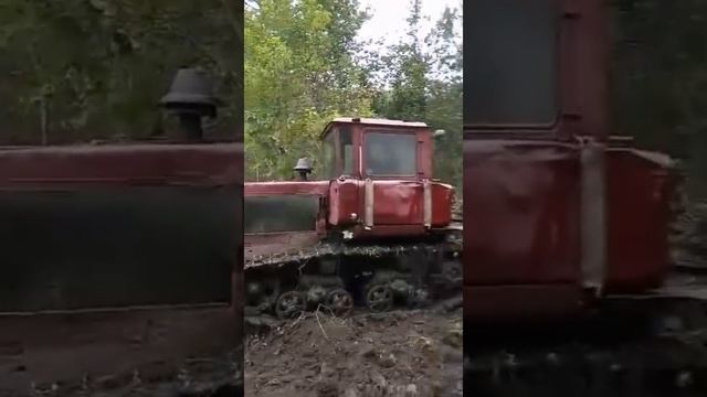 Невезучая делянка. Урал завалился смотреть онлайн