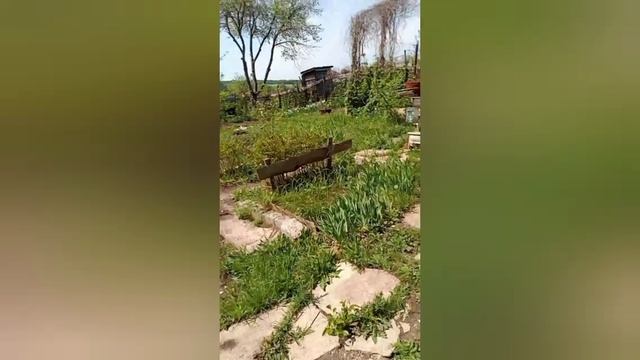 YouCut_20250421_113338484.mp4