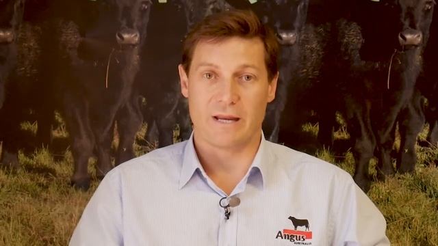 An Overview of Angus ASBPSELECT смотреть онлайн