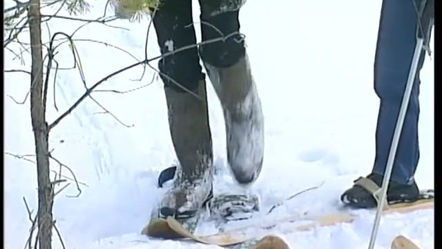 Ляпы 2. Бобры смотреть онлайн