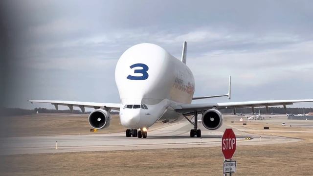 Airbus Beluga Taxiing at Pease on 02/05/2023 смотреть онлайн
