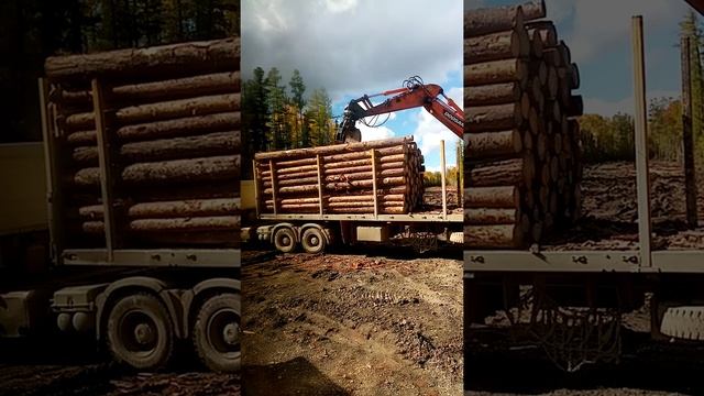 Погрузка леса укладчиком смотреть онлайн