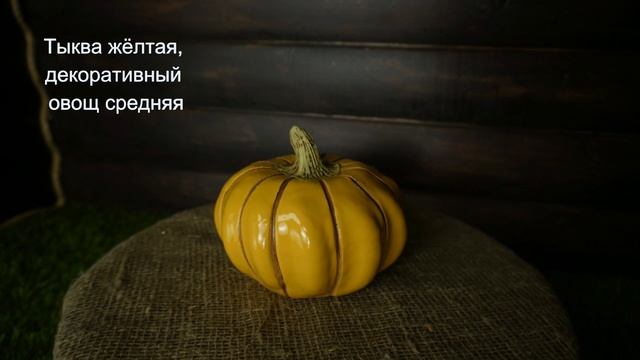 Тыква жёлтая, декоративный овощ