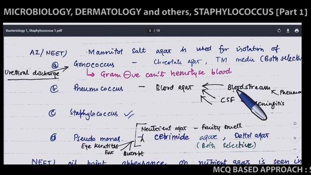 STAPHYLOCOCCUS AUREUS | Microbiology , Dermatology Skin Infection, Pharmacology, ANTIBIOTICS, NEETP смотреть онлайн