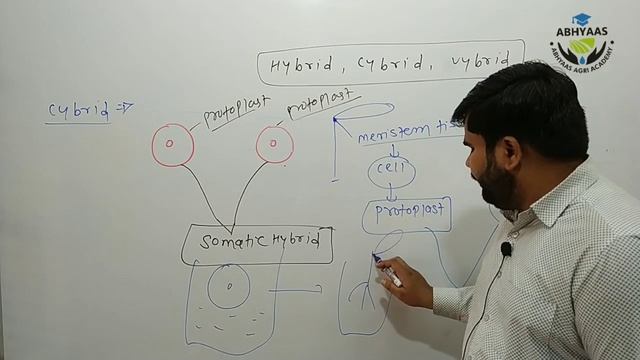 ||Plant breeding|| Hybrid , Cybrid and Vybrid || ADA| SADO| RAEO | AFO| NSC смотреть онлайн
