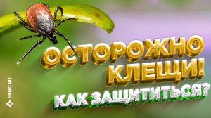 Защити себя и своих близких от клещей! Всё о прививке от энцефалита.
