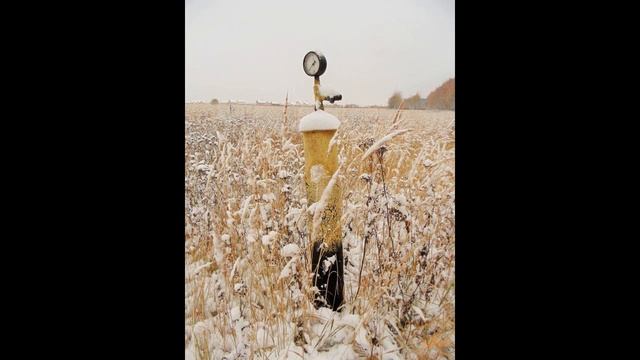 Продается участок 43,8га в д. Александровка смотреть онлайн