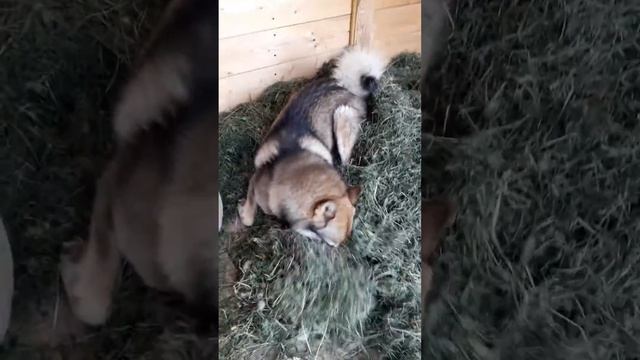 14 июня 2021 г.