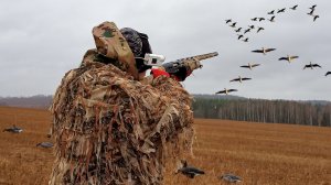 ВЕСЕННЯЯ ОХОТА НА ГУСЯ! ВЕСЬ ФОКУС В МАСКИРОВКЕ! КУДА Я ДЕВАЮ МЯСО!