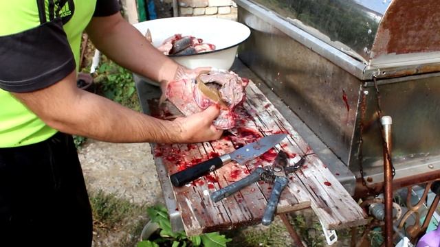 Подготовка к засолке карася, как плостать рыбу
