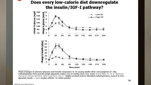 ImmInst 2010 - Paul McGlothin on Calorie Restriction in Humans, via Teleplace смотреть онлайн