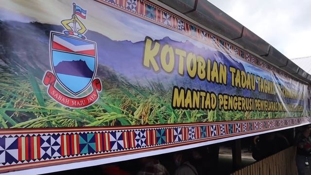 PESTA KAAMATAN & GAWAI DAYAK // DI KDCA KOTA KINABALU,SABAH 2024…// смотреть онлайн