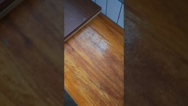 Дрессировка алабая смотреть онлайн