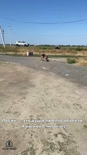 Позитифффчик  на объекте