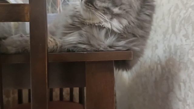 Эрик в поисках приключений (продолжение следует) смотреть онлайн