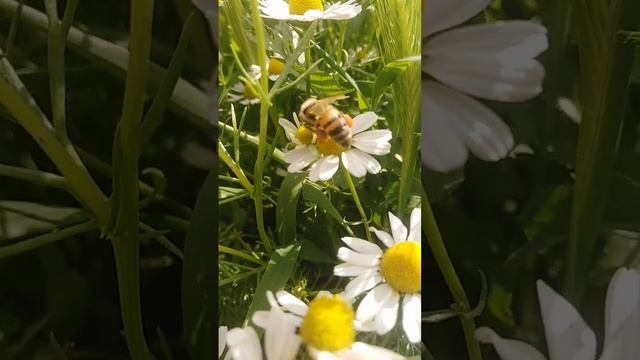 ٢١ فبراير ٢٠٢٤ смотреть онлайн