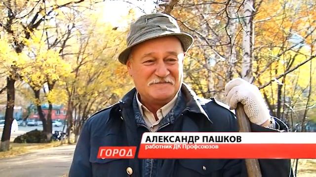 Коллективы сразу пяти организаций вышли сегодня на уборку смотреть онлайн