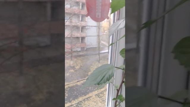 6 ноября 2021 г. смотреть онлайн