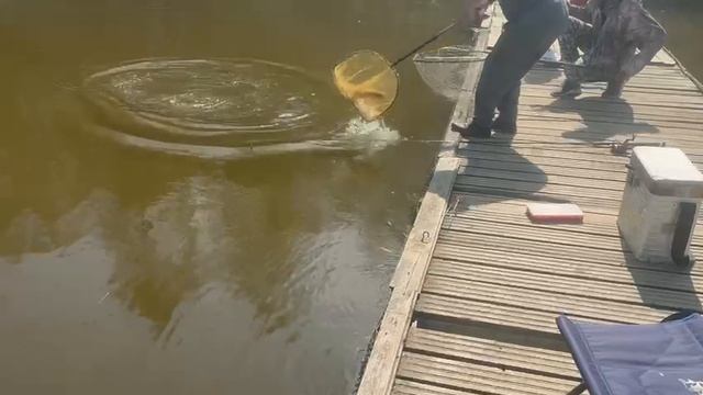 Основной водоем ,понтон смотреть онлайн