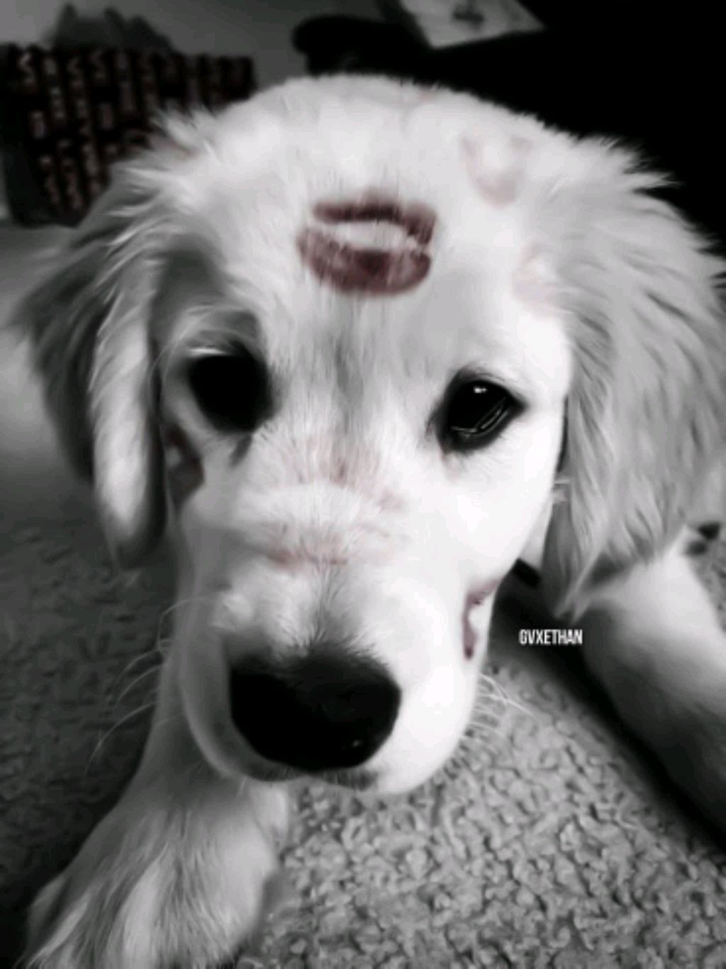 делаем мэйКап клоуна смотреть онлайн