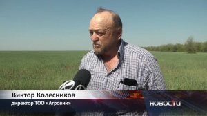 Как ведутся весенние посевные работы
