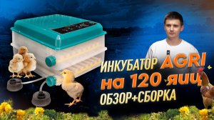 Инкубатор автоматический AGRI на 120 яиц