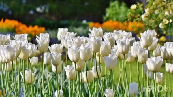 Семья Колесниковых/Новости из Дворца.