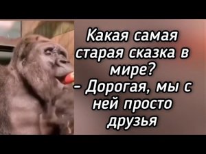Анекдоты. Свежая подборка