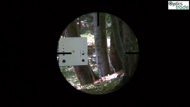 Sightron SIIISS 8-32x56 LR IR MOA-H Reticle Subtension смотреть онлайн