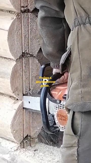 ☝️РОЙКИ – ОБЯЗАТЕЛЬНОЕ УСЛОВИЕ В ДЕРЕВЯННОМ Доме. смотреть онлайн