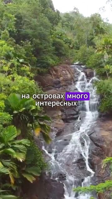 Сейшелы самое прекрасное место для отдыха смотреть онлайн