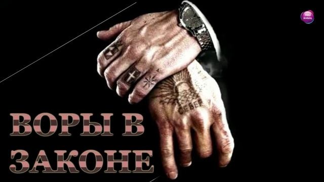 “Lotu Quli”yə AĞIR ZƏRBƏ – “Kral” titulu uğrunda müharibə BAŞA ÇATDI смотреть онлайн
