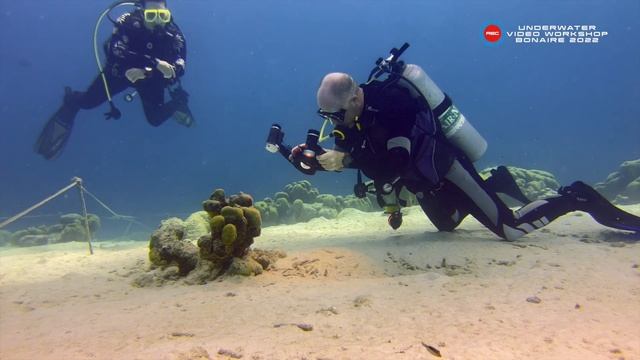 Underwater Video Workshop Bonaire 2022 ⎮ Recap смотреть онлайн