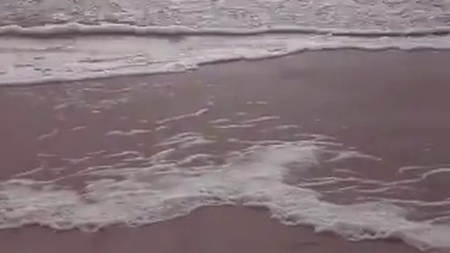 Storm 6 balls in Palanga. смотреть онлайн