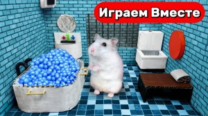 Лабиринт для Хомяка 🐹 Побег Умного Хомяка из лабиринта-тюрьмы с ванной с шариками !