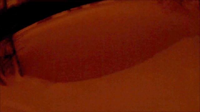 ночь, С.П.Б. Парк сосновка. супер 40
