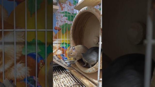 27 апреля 2024 г. смотреть онлайн