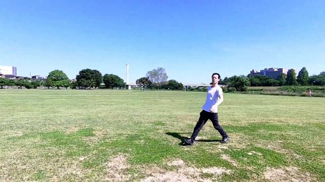 ドローンhoverair x1 smart　機能紹介 смотреть онлайн