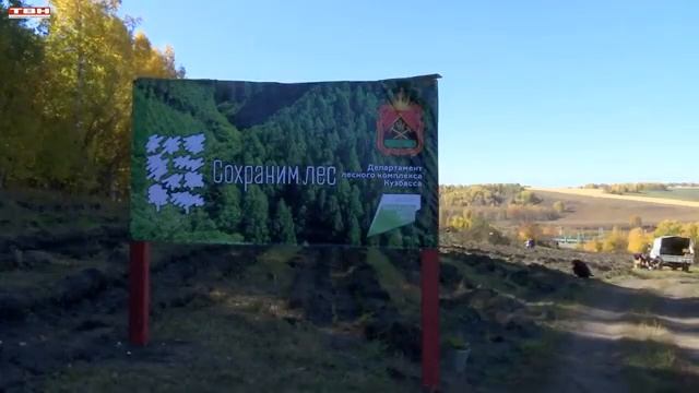 Сотрудники Распадской высадили деревья в Красулино. смотреть онлайн