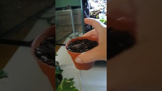 12 сентября 2022 г. смотреть онлайн