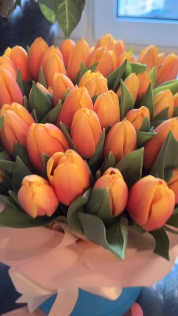 🔴 ЖИЗНЬ…ЕЩЕ🔴 смотреть онлайн