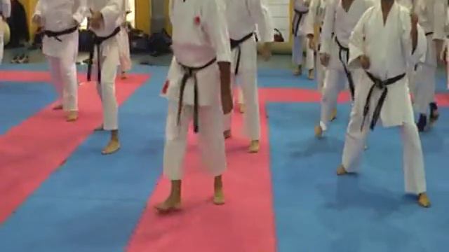 8 Мигель Гомес Накарино (каратэ). Бункай, кумитэ и ката ''Сочин''