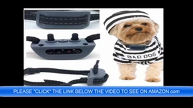 Savvy|Smart|Sexy People Do No Bark Dog Collar смотреть онлайн