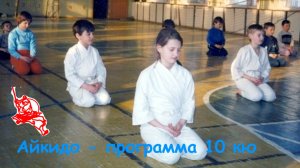 Программа на 10 кю, белый пояс (айкидо)